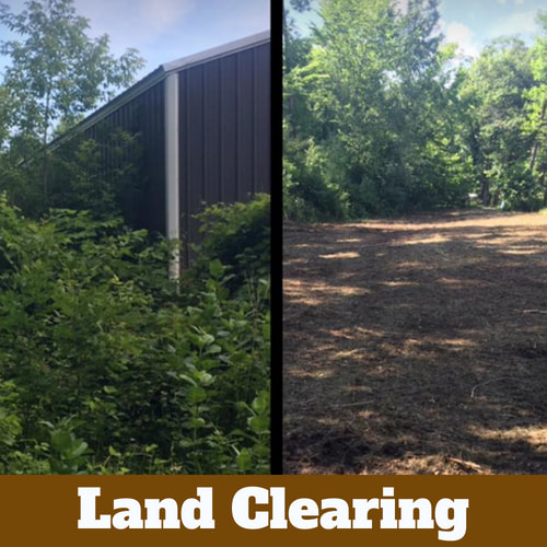Before and after of a cleared out area of land