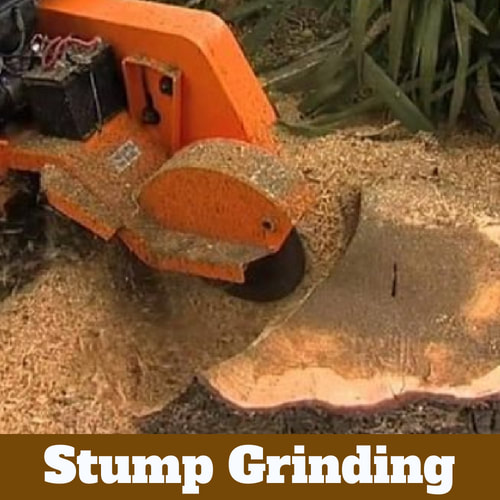 Stump being ground to dust